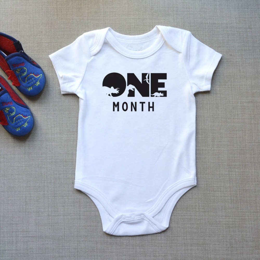 Φορμάκι Βρεφικό Dinosaur Months Παιδικά