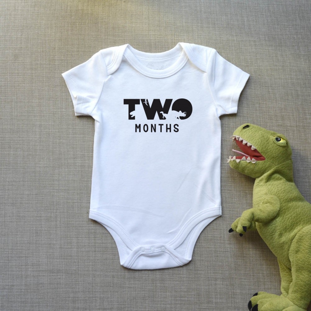 Φορμάκι Βρεφικό Dinosaur Months Παιδικά