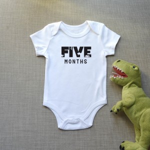 Φορμάκι Βρεφικό Dinosaur Months Παιδικά