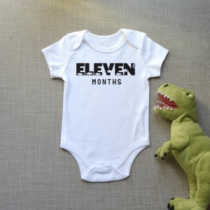 Φορμάκι Βρεφικό Dinosaur Months Παιδικά